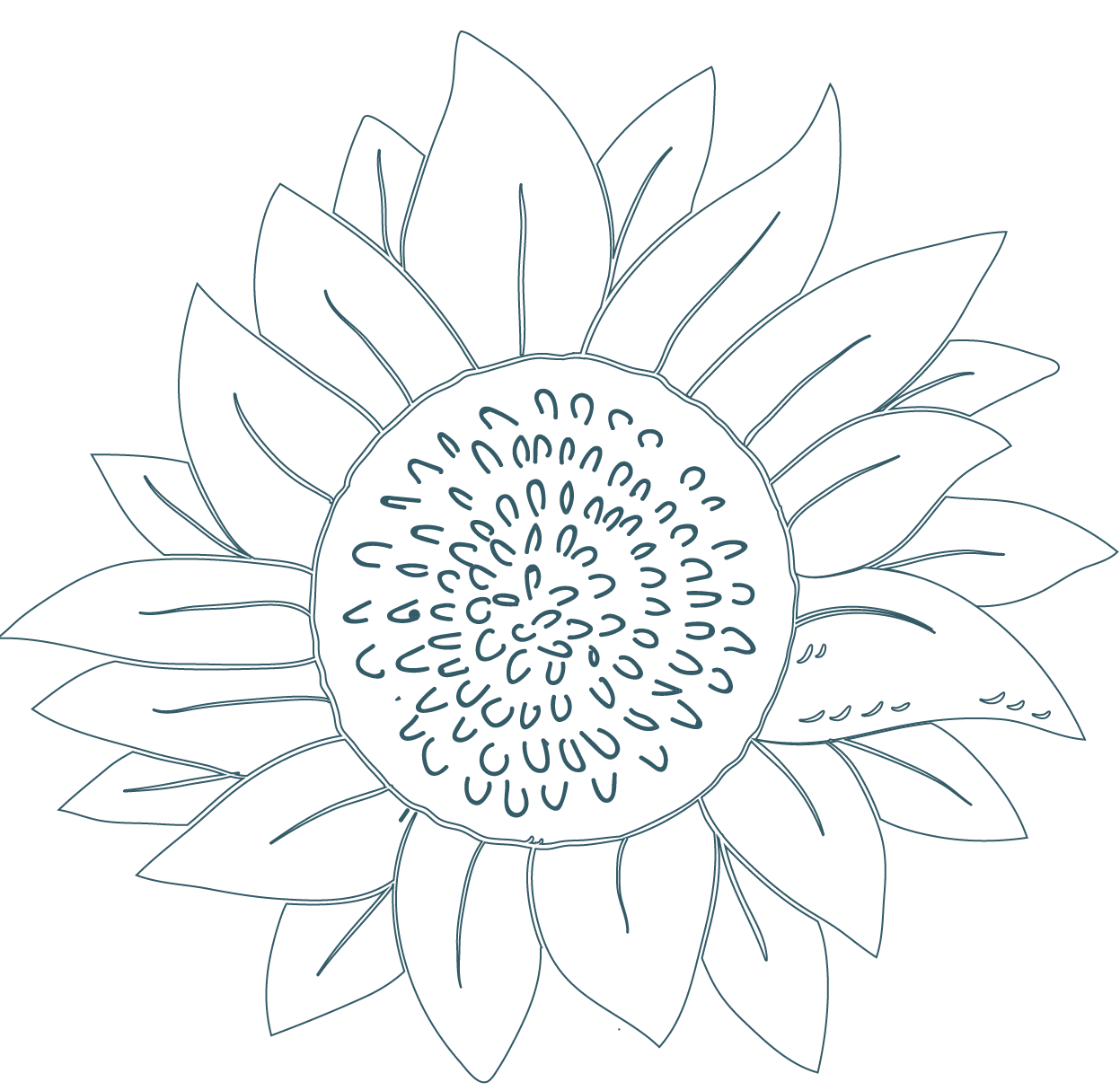 tournesol