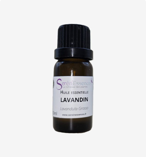 Huile-essentielle-lavandin